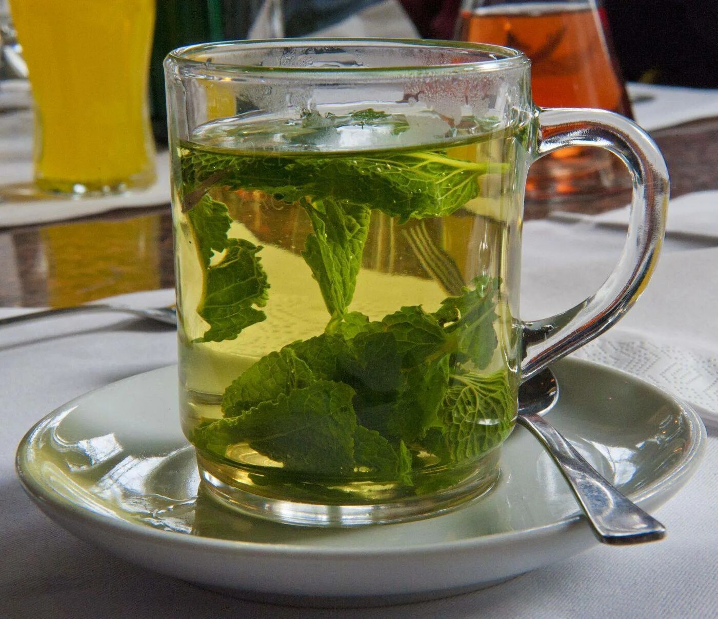 Мята перечная листья чай. Чай с мятой. Отвар трав. Травяной мятный чай. Пить мяту мужчинам
