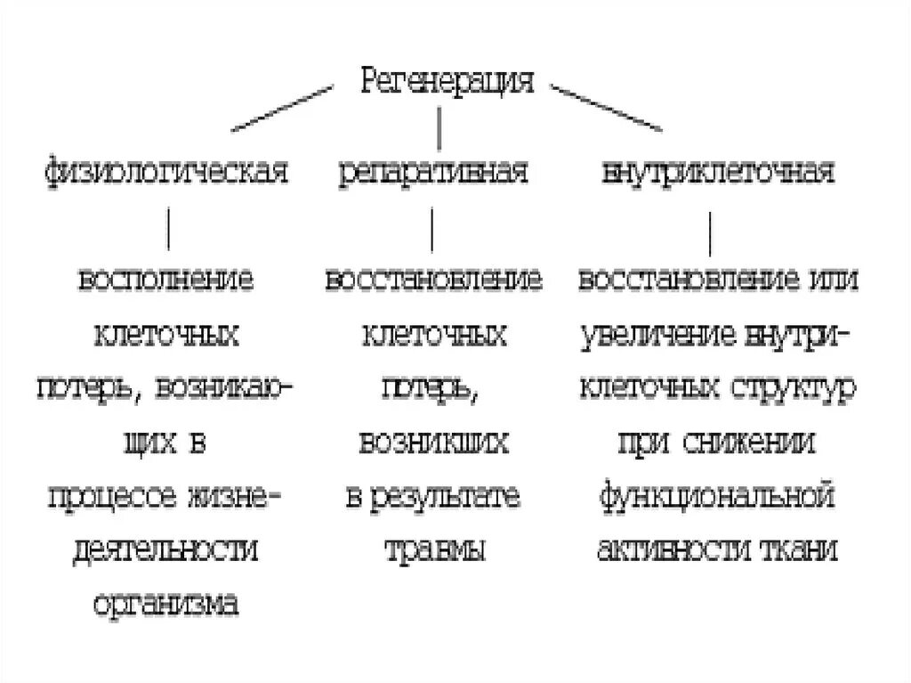 Картинки ФИЗИОЛОГИЧЕСКАЯ РЕГЕНЕРАЦИЯ ВИДЫ