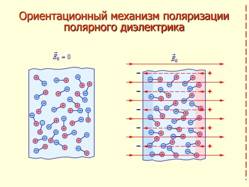 Поляризация неполярных диэлектриков. Диэлектрики в электрическом поле поляризация диэлектриков. Механизм поляризации неполярных диэлектриков. Ориентационный механизм поляризации. Дипольные диэлектрики