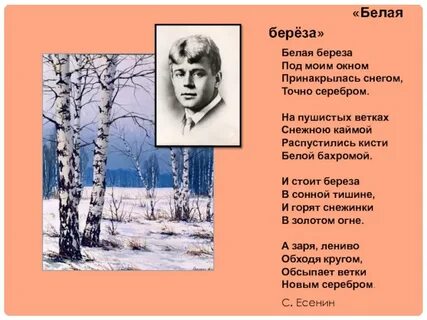 Белая береза я тебя оригинал