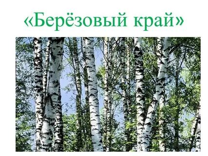 Тема береза