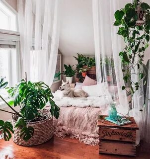 Комната с кустом