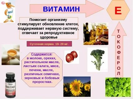 Витамин е для женщин какой лучше