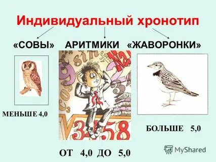 Аритмик это