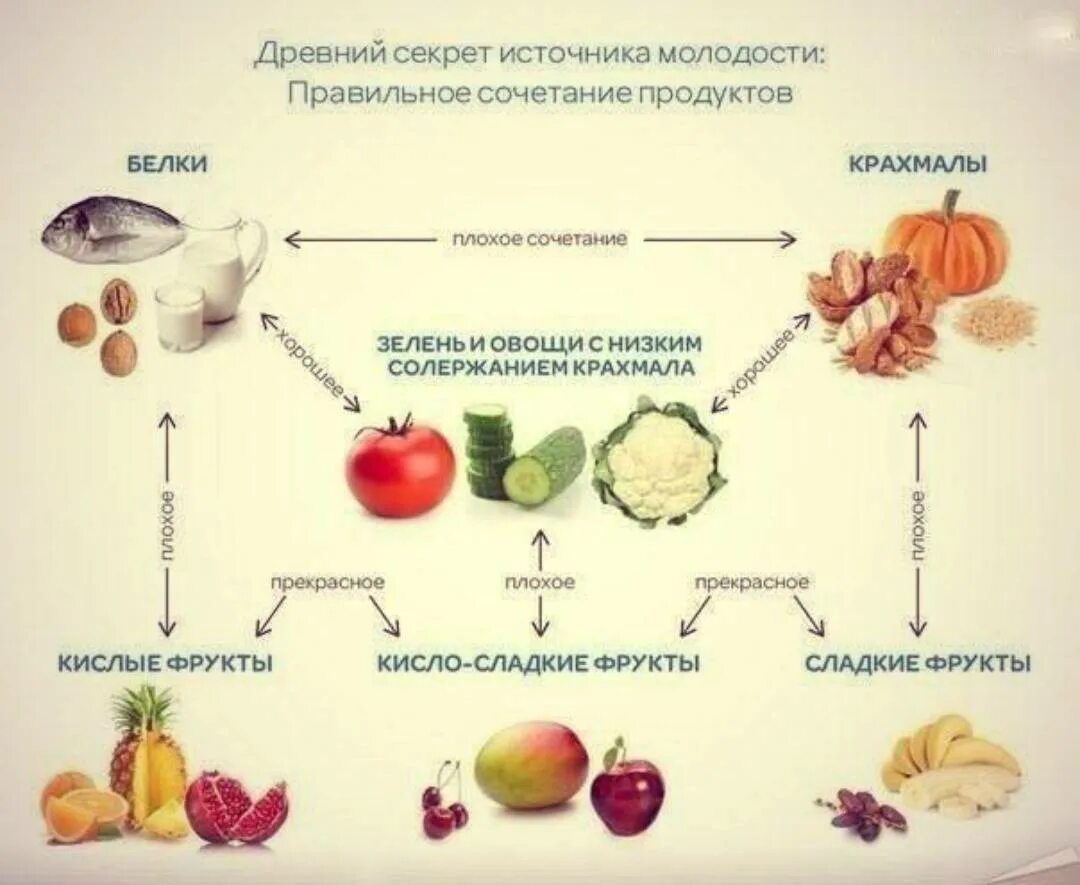 Киви совместимость. Сочетание продуктов при правильном питании для похудения таблица. Таблица совмещения продуктов при правильном питании. Правильное сочетание продуктов для здорового питания таблица. Как сочетать продукты при правильном питании таблица.