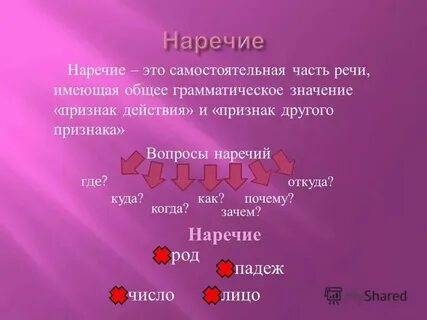Общий грамматический признак это