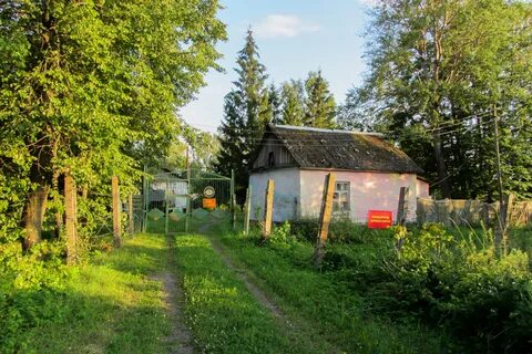 Погода в храброве