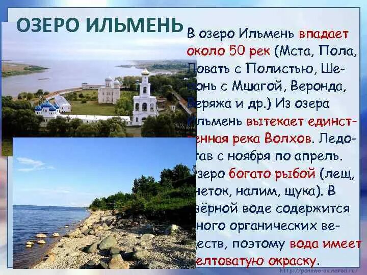 Ильмень забурунный. Какой город возник близ озера ильмень. Какой город возник близ озера ильмень. Озеро ильмень на карте. Какой город возник близ озера ильмень.