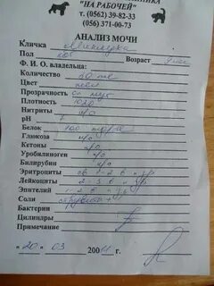 Сколько готовятся результаты мочи