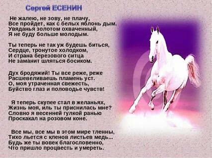 Проскакал на коне есенин