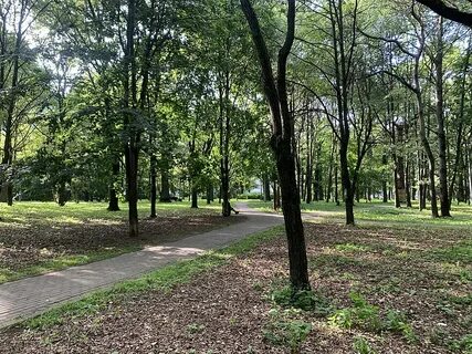 Парки и скверы рощи сады