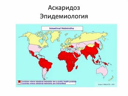 Аскаридоз распространение