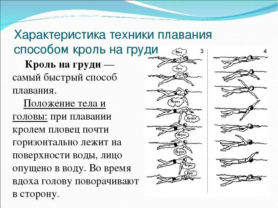 Обучение технике плавания кролем. Методы плаванию Кроль. Техника плавания кролем движение. Описание техники плавания кролем на груди. Движение рук при плавании кролем.