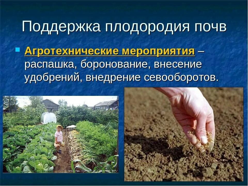 Закон о плодородии. Оценка плодородия почв. Способы улучшения почвы. Плодородие почвы. Пути повышения плодородия почв.