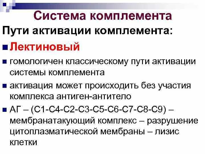 Лектиновый путь комплемента. Пути активации системы комплемента. Активация системы комплемента по классическому пути. 3 Пути активации системы комплемента. Активация системы комплемента по лектиновому пути.