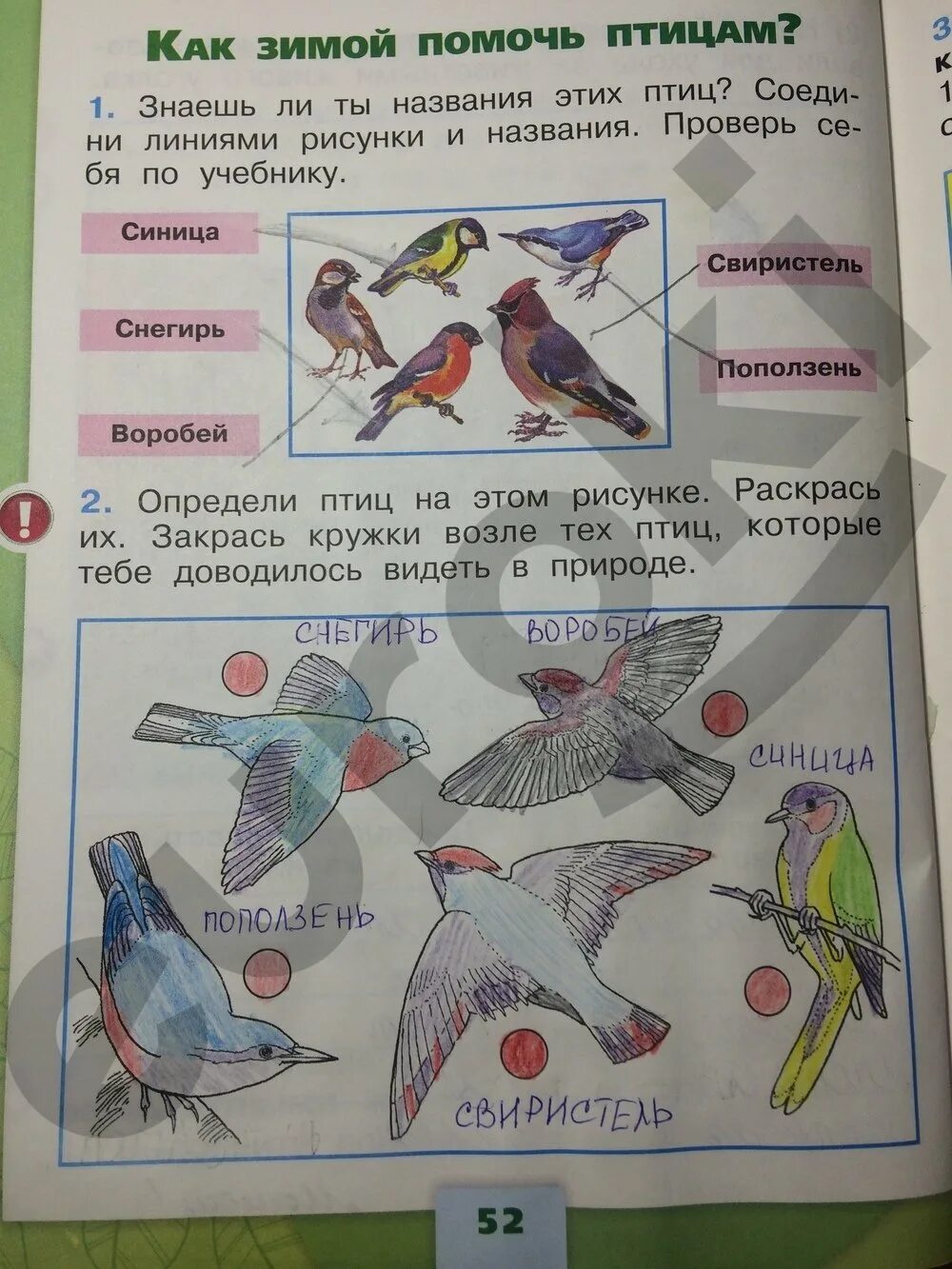 Кто из лесных обитателей издает мелодичные звуки. Окружающий мир 1 класс рабочая тетрадь 1 часть Плешаков ответы стр 52-53. Окружающий мир 1 класс рабочая тетрадь стр 52. Окружающий мир 1 класс рабочая тетрадь ответы Плешаков 1. Окружающий мир 1 класс рабочая тетрадь 1 часть Плешаков стр 52-53.