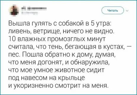 Читали момент
