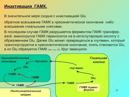 Разрушение ферментов