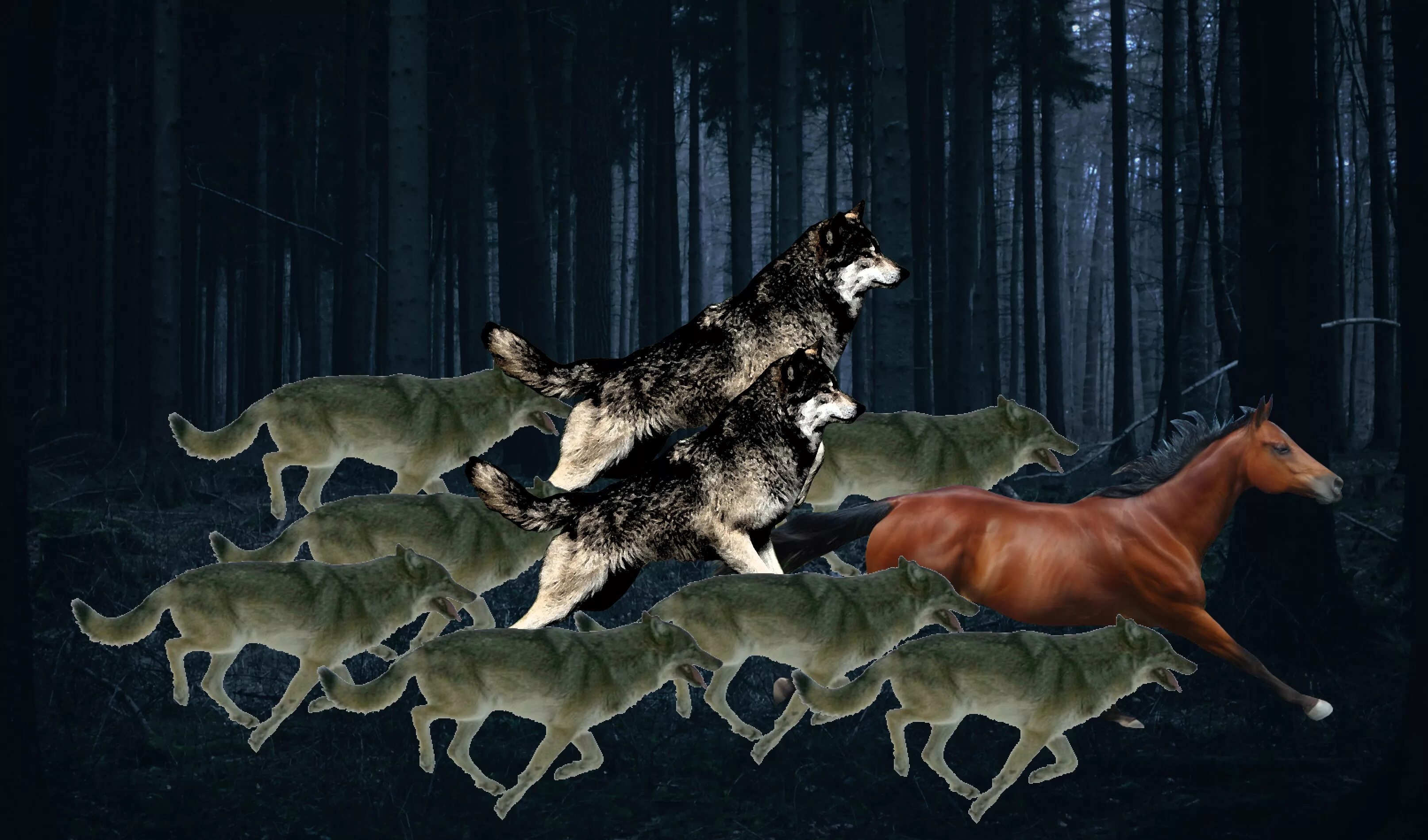 Тундровый волк. Волк охота зимой ночью. Волк зимой. Олень и волк. Красивый волк.