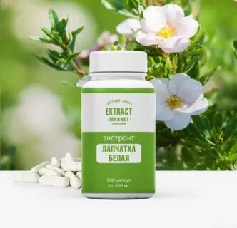 Экстракт лапчатки