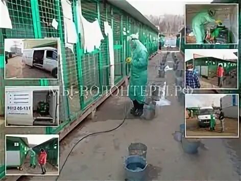 Уборка в приюте. Дезинфекция вольеров. Дезинфекция вольеров для собак. Дезинфекция вольеров. Дезинфекция вольеров.