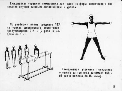 Гигиеническая гимнастика включает сколько упражнений