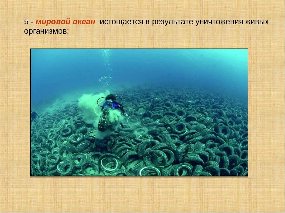 растительные сообщества схема. видовой состав живых организмов. видовой состав живых организмов. уровни организации живой материи системы органов. видовой состав живых организмов.