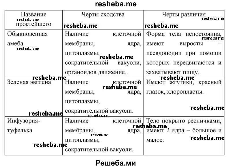 Различие простейших. Черты сходства и различия таблица. Черты сходства и различия в строении простейших. Черты сходства и черты различия. Черты сходства и различия простейших.