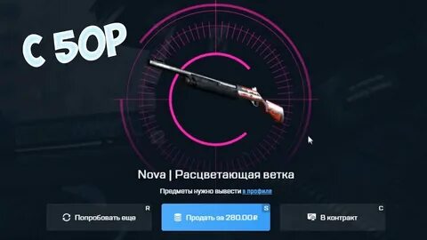 Нова расцветающая