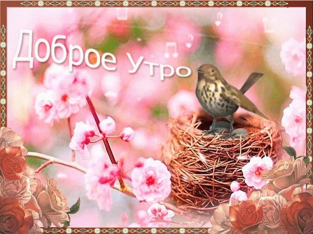 С весенним утром картинки красивые с надписями. Открытки с добрым утром весенние. Доброе Весеннее утро. Доброго весеннего утоп.