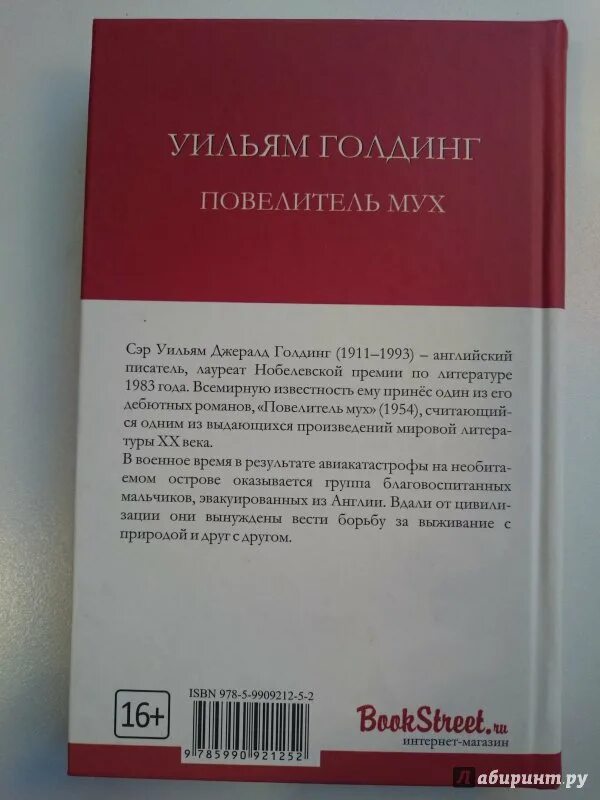 Повелитель мух сколько. Повелитель мух книга читать. Оглавление книги Повелитель мух. Повелитель мух Уильям Голдинг сколько страниц.