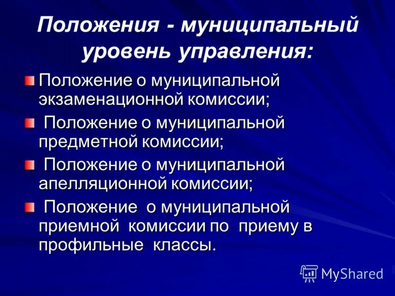 Муниципальный уровень пример