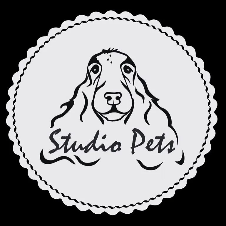 Pet's studio. Pet Grooming Studio. Groompets.