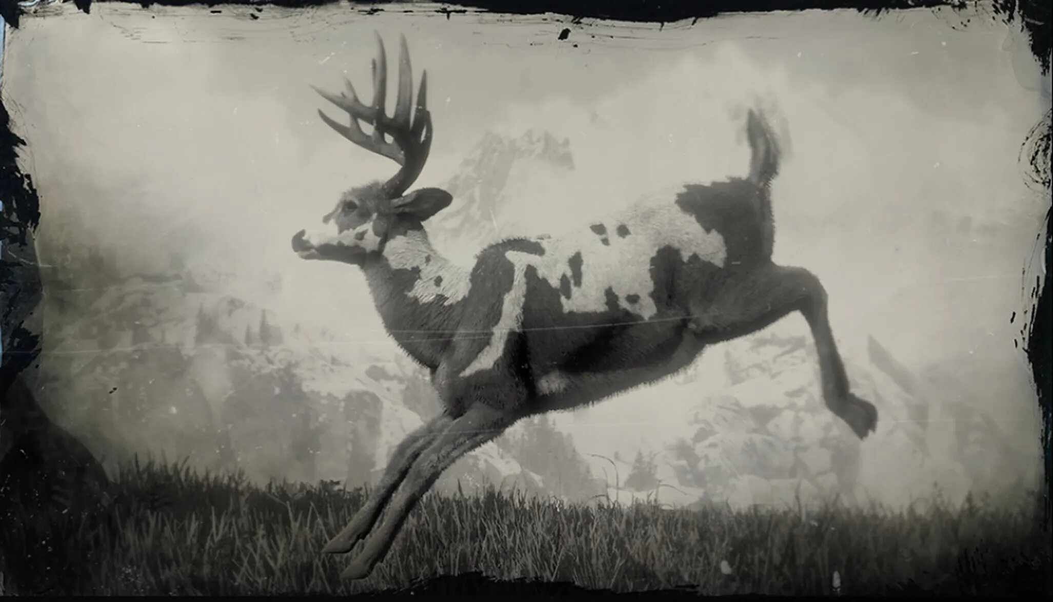 Legendary animal. Легендарный олень РДР. Red Dead Redemption 2 олень. Red Dead Redemption легендарный олень. Легендарный олень в РДР 2 на карте.