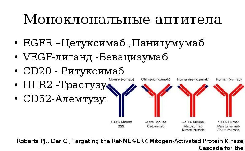 Анти моноклональные антитела. Метод моноклональных антител кратко. Моноклональные антитела презентация. Рекомбинантные моноклональные антитела. Моноклональные антитела мка.