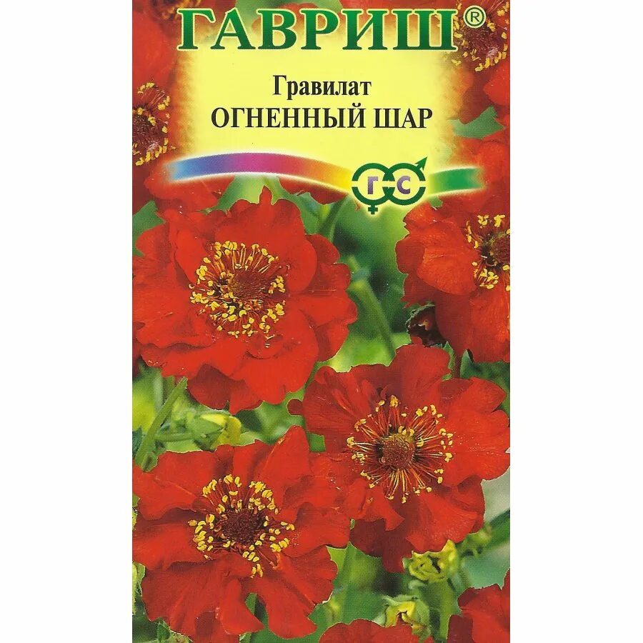 Гравилат огненный шар. Гравилат Огненный. Гравилат чилийский Огненный. Гравилат многолетний Огненный шар. Гравилат чилийский Огненный шар.