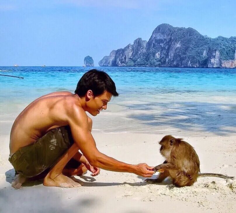 Браки мужчин обезьян. Обезьяний остров Тайланд. Манки Бич Тайланд. Паттайя остров обезьян. Остров обезьян Хайнань.
