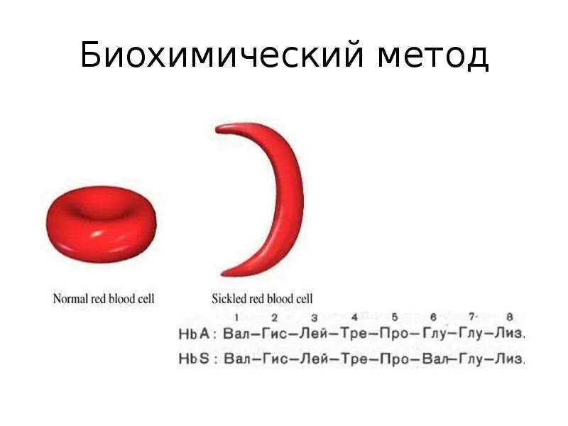 Методы исследования генетики биохимический метод. Биохимический метод примеры. Биохимические методы в генетике. Биохимический метод исследования клетки. Методы исследования генетики биохимический метод.