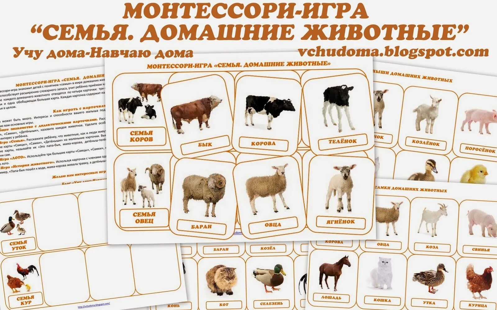 Домашние животные и их названия. Монтессори игра семья домашние животные. карточки монтессори домашние животные. семья животных карточки. семья домашних животных названия.