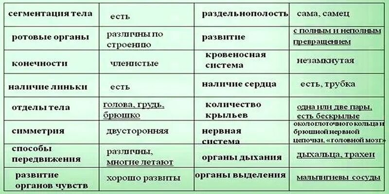 Полное превращение насекомых таблица. Типы развития насекомых 7 класс биология таблица. Насекомые с неполным превращением таблица. Отряды насекомых с полным превращением таблица. Насекомые с полным и неполным превращением таблица.