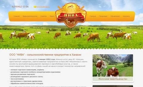 Оао нива