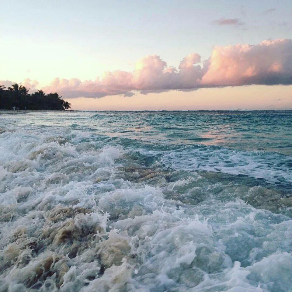 Чувствуете запах моря. Море. Море Юг. Море сохраненки. Запах моря.