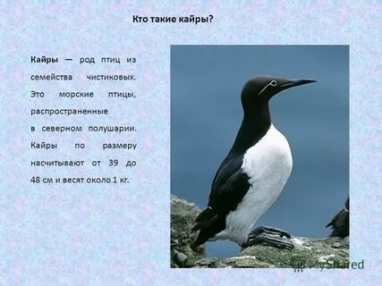 Семейство букв 6 букв
