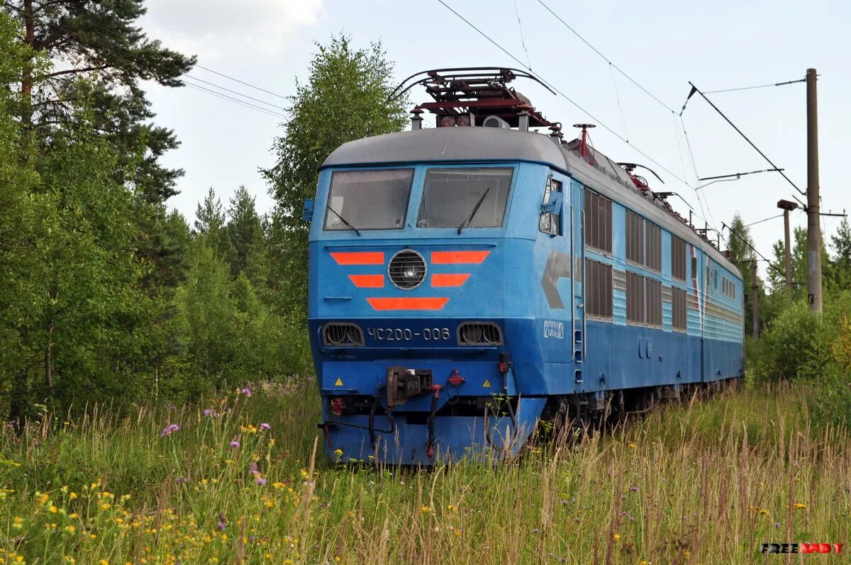 Тч тв