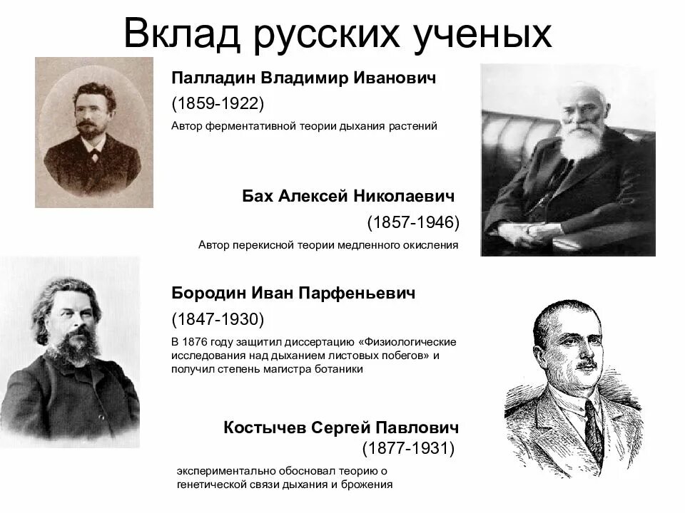 Люди которые внесли вклад. Российские ученые их вклад. Российские ученые их вклад. Ученые химики и их открытия. Великие ученые химики.