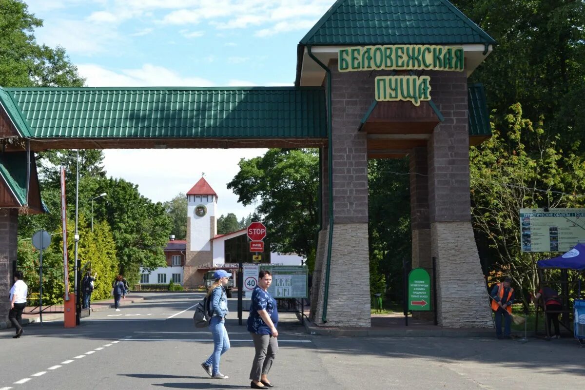 Экскурсия в беловежскую пущу из бреста. Каменюки беловежская пуща. беловежская пуща от бреста. беловежская пуща весной. беловежская пуща центральный вход.
