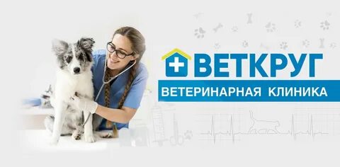 Ветеринар свао