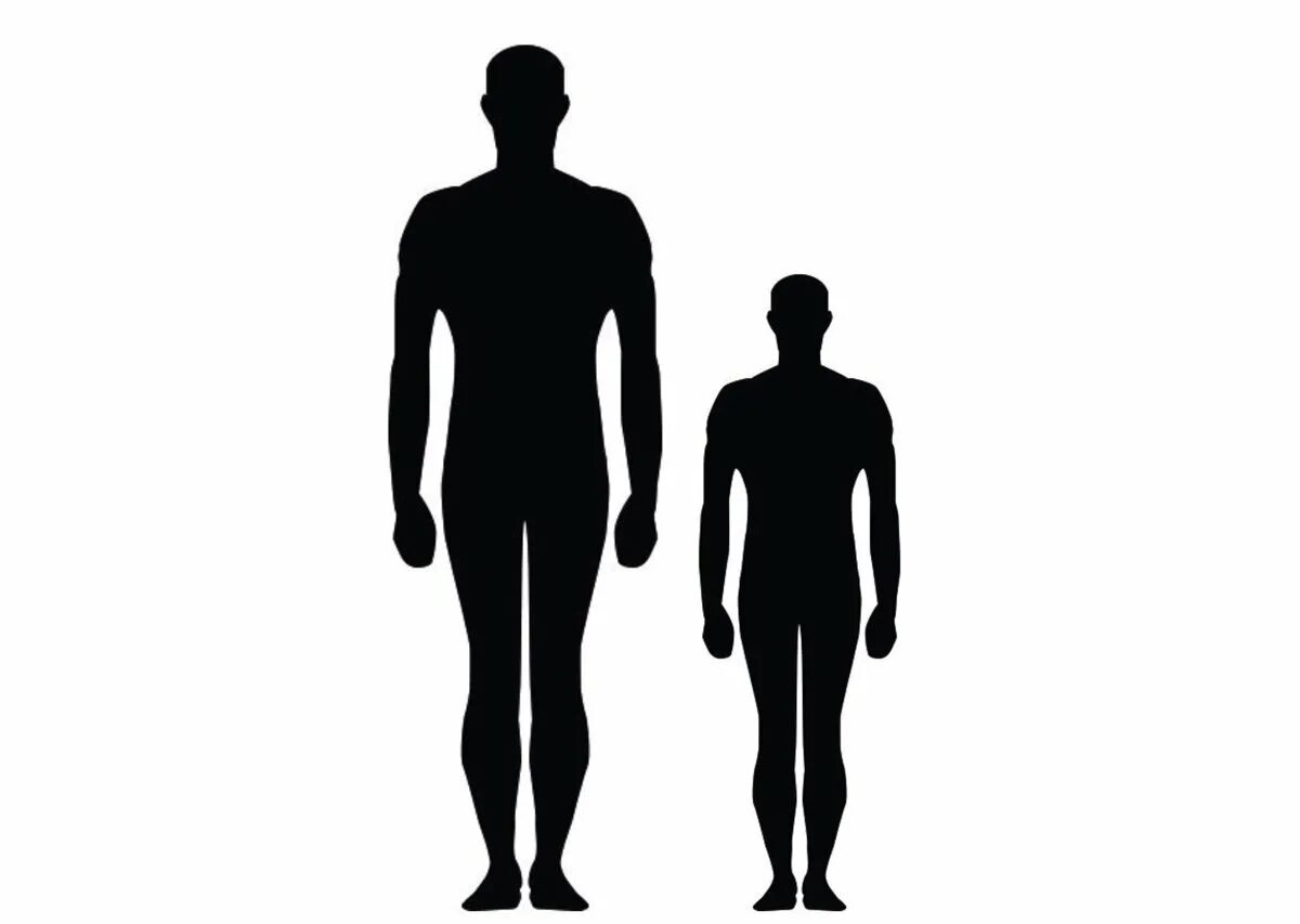 Complete height. Рост человека. Рост человека силуэт. Линия роста человека. Интенсивный рост человека.