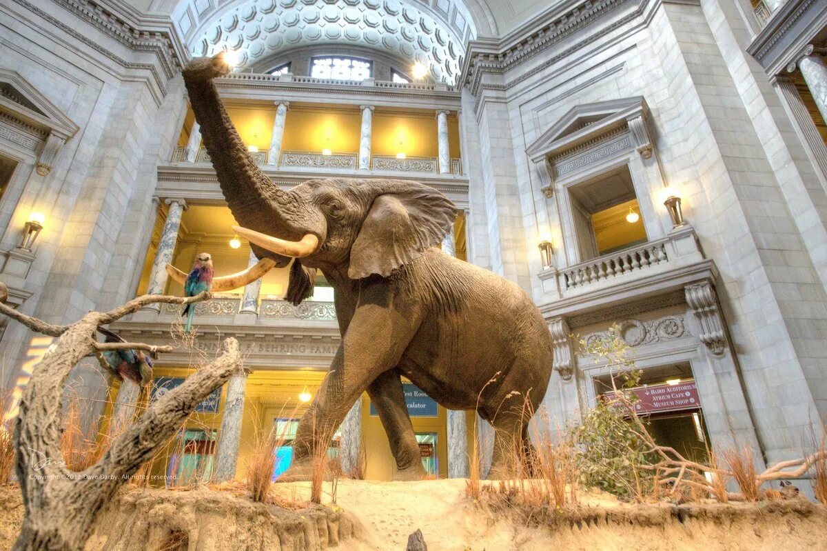 Музей естествознания в лос анджелесе. Jerry visited the museum of. In the museum. Музей естественной истории имени гасан-бека зардаби. Музеи естествознания китай.