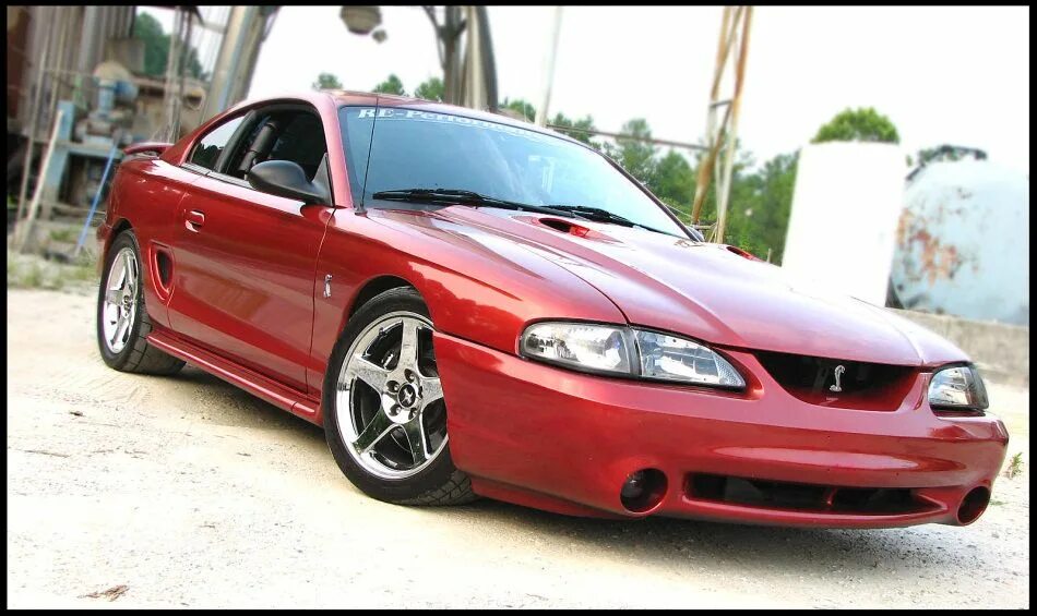 Ford mustang sn95 cobra. Мустанг sn95 в спорте. Ford mustang sn95. Ford mustang sn95 cobra. Форд мустанг 95.